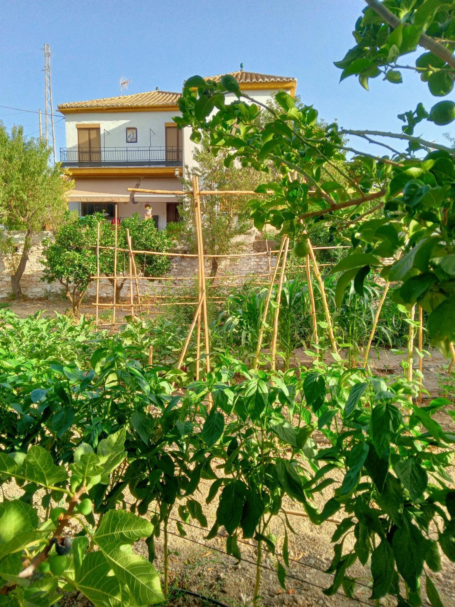 Ugijar Tuguest Hortichuela Houseヴィラ エクステリア 写真