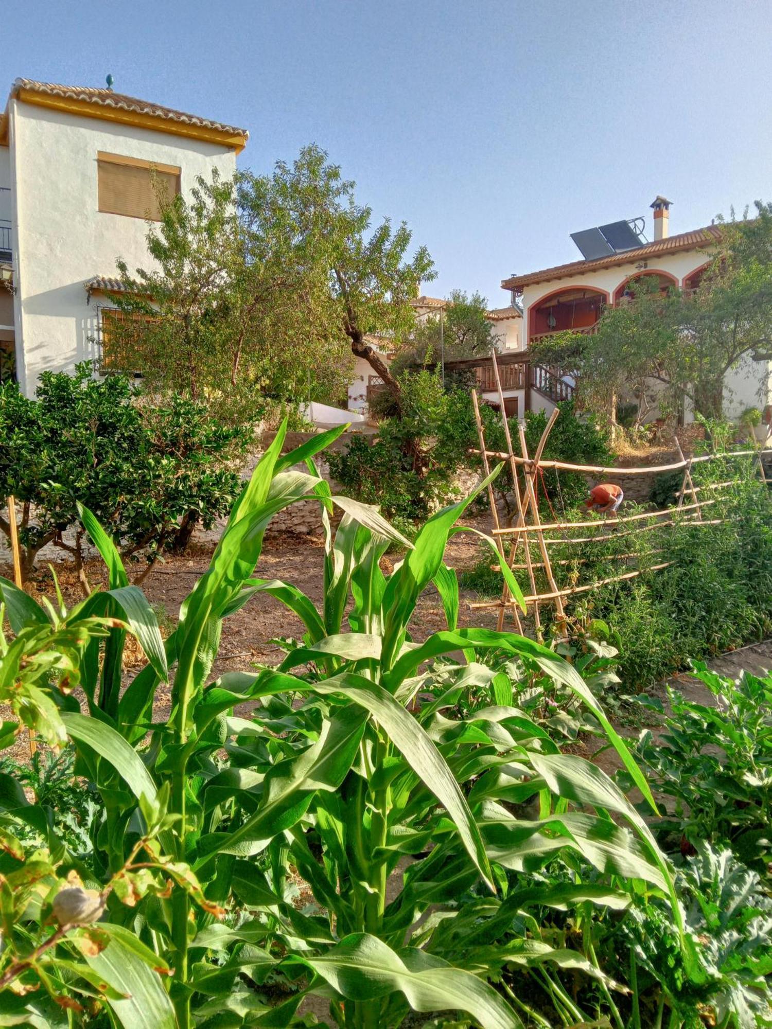 Ugijar Tuguest Hortichuela Houseヴィラ エクステリア 写真